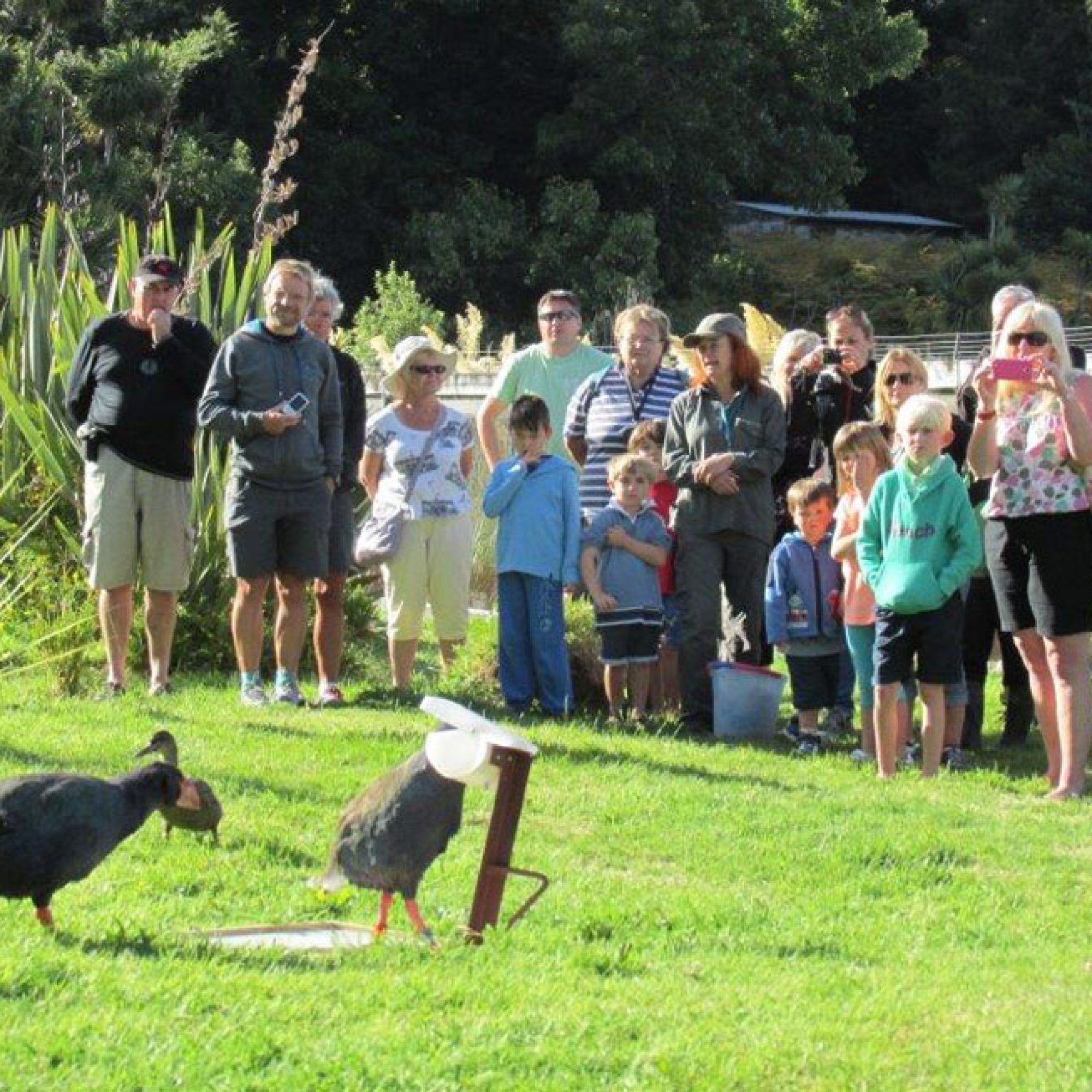 group-bird-sanctuary-1000